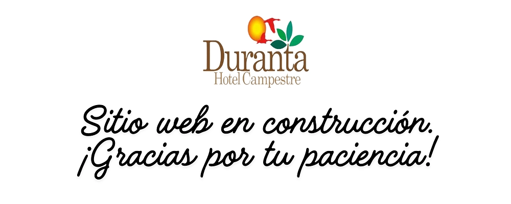 Zona Hotel en construccion